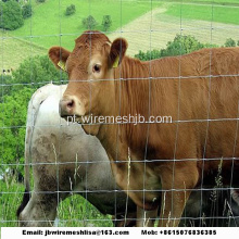 Cerca de gado galvanizado e rede Kraal